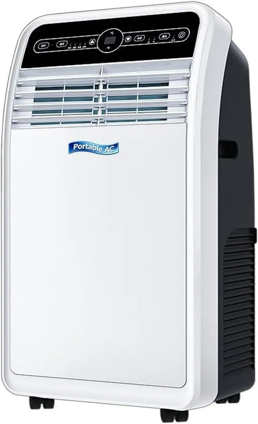 Dell R290 Condizionatore, portatile, ruote di trasporto, unità fredda efficiente dal centro energetico R290 con telecomando, Condizionatore d'aria